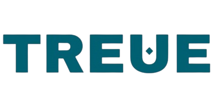 TREUE - Treue – Your Trusted CA & Accounting Partner